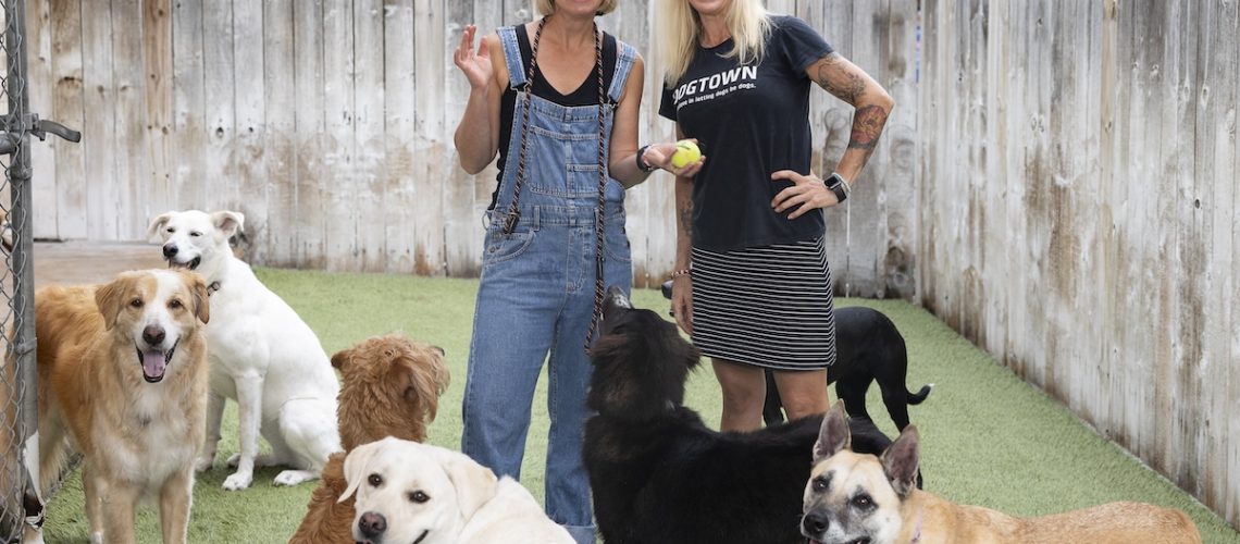Dogtown Owners4_Credit Lauren Reynolds